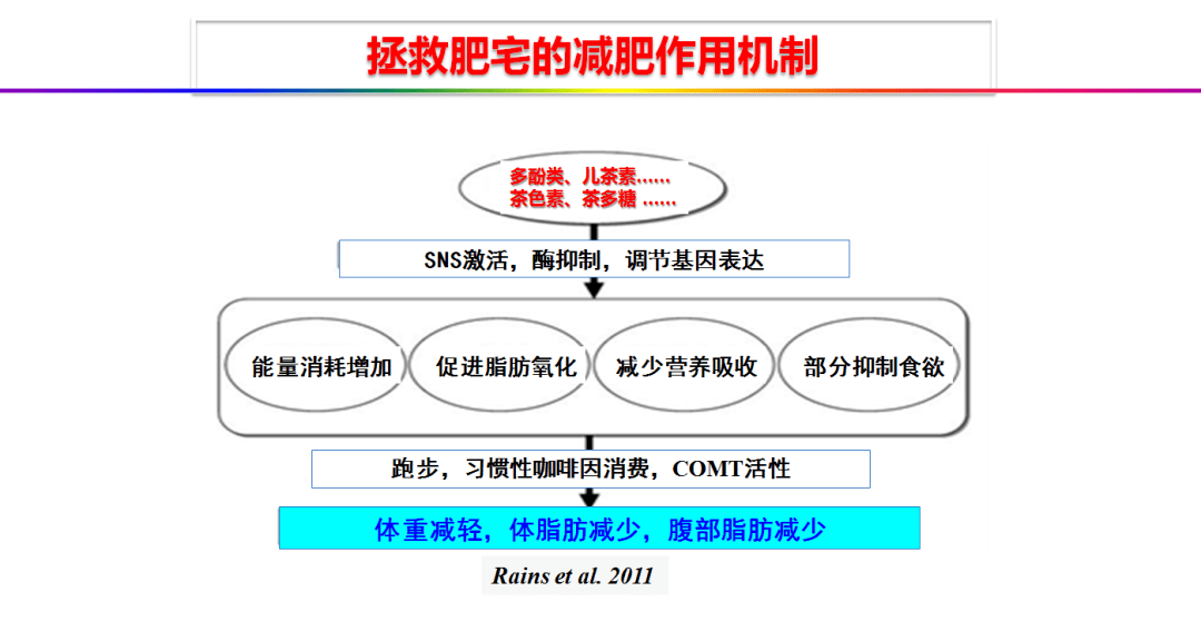 Angular最新版本，探索前沿技術(shù)與未來趨勢