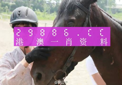 澳門一肖一碼一必中一肖，揭示背后的真相與風(fēng)險(xiǎn)