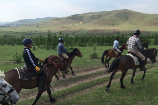 澳門今晚開(kāi)特馬四不像圖，警惕背后的違法犯罪問(wèn)題