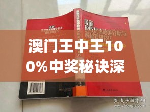 新澳門王中王，揭秘期期中的奧秘與魅力