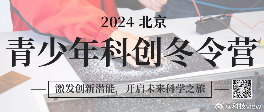 探索未來，2024年一肖一碼一中一特的神秘面紗