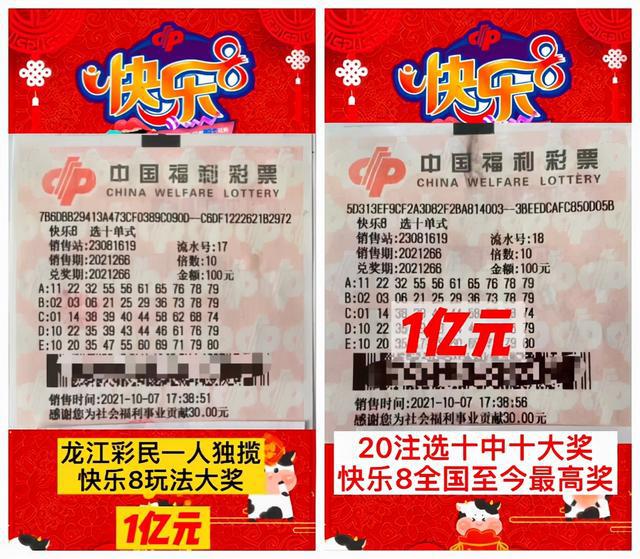 新澳2024大全正版免費(fèi)，探索彩票的樂趣與機(jī)遇