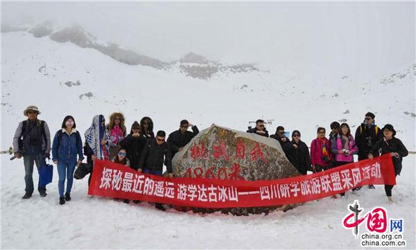 澳門最精準免費資料大全與旅游團，探索澳門的魅力之旅