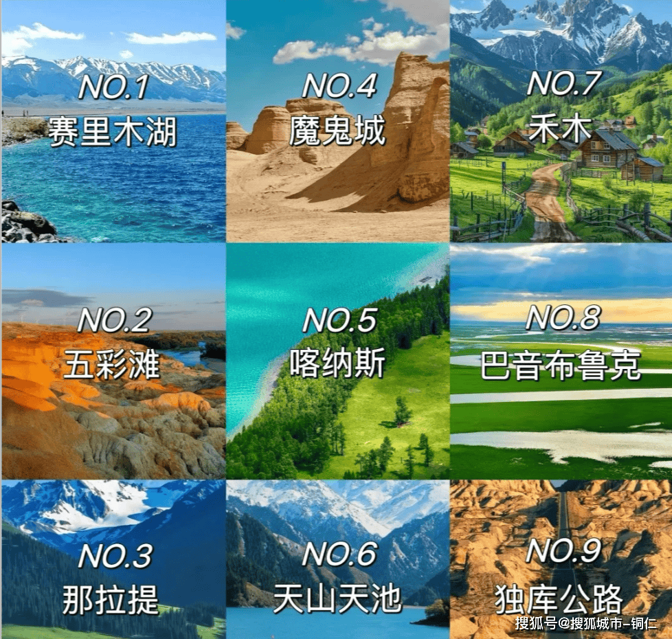 澳門最精準(zhǔn)免費(fèi)資料大全與旅游團(tuán)，探索澳門之旅的完美指南