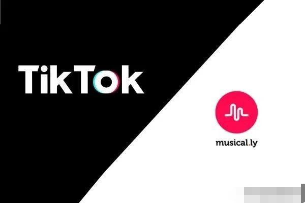 TikTok破解版最新下載，風(fēng)險(xiǎn)警示與違法犯罪問題探討