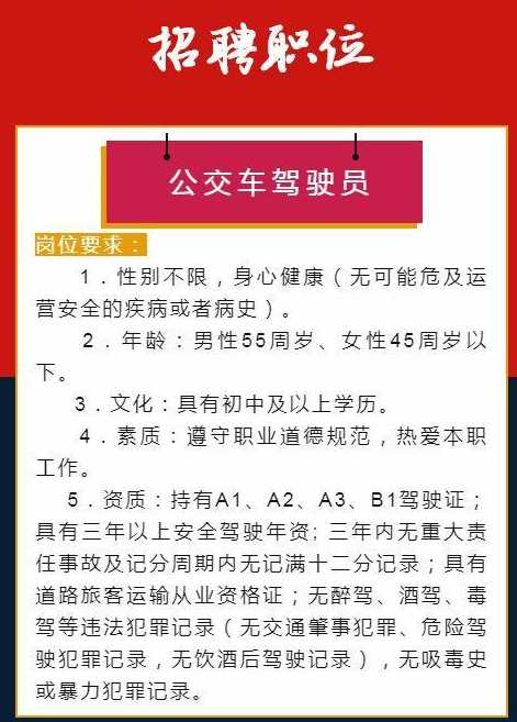 拉薩駕駛員最新招聘，職業(yè)前景、要求與應聘指南