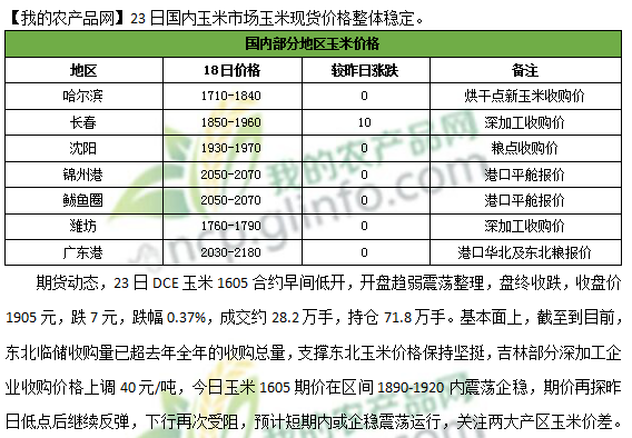 廣西玉米價格最新行情分析